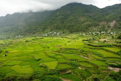 Voyage Patrimoine et Nature Philippines