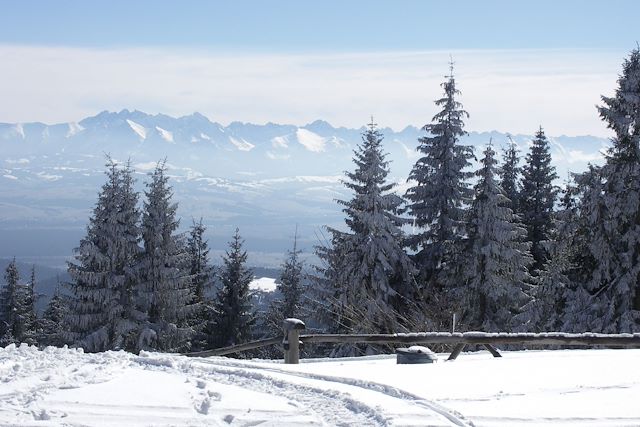 Voyage Échappée hivernale dans les Carpates polonaises