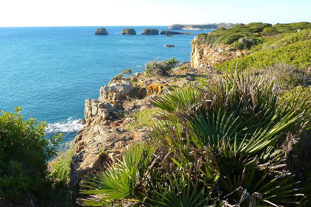 L'Algarve des trois printemps