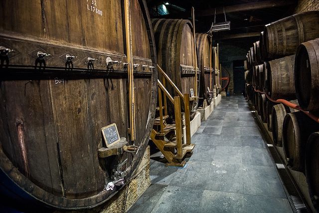 Voyage : Porto et les vignobles du Douro à vélo Voyage Porto et les vignobles du Douro à vélo