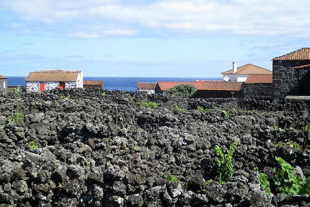Voyage : Escapades océanes: Faial, Pico, Sao Jorge Voyage Escapades océanes: Faial, Pico, Sao Jorge