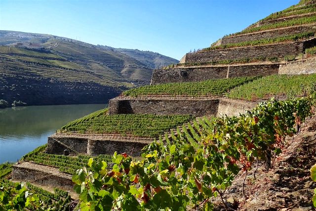 Découverte : Porto, Douro et côte atlantique Voyage Porto, Douro et côte atlantique