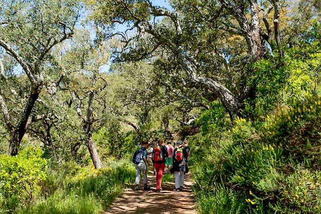 Voyage : L'Algarve, aux portes de l'Océan Voyage L'Algarve, aux portes de l'Océan