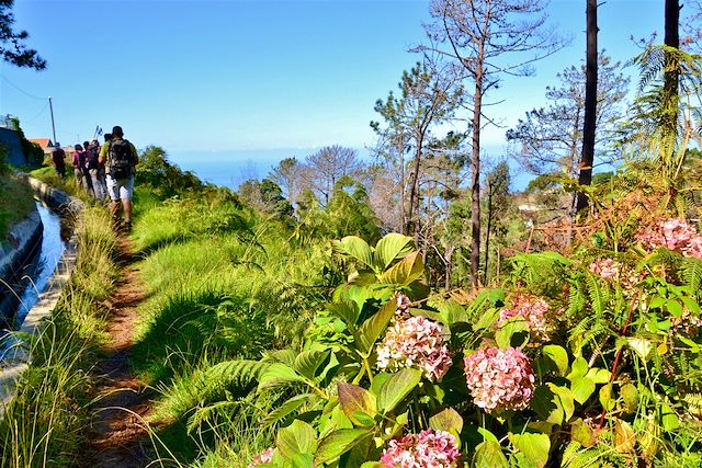 Voyage Boucle océane : de Madère aux Açores