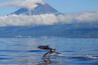 Voyage  Açores