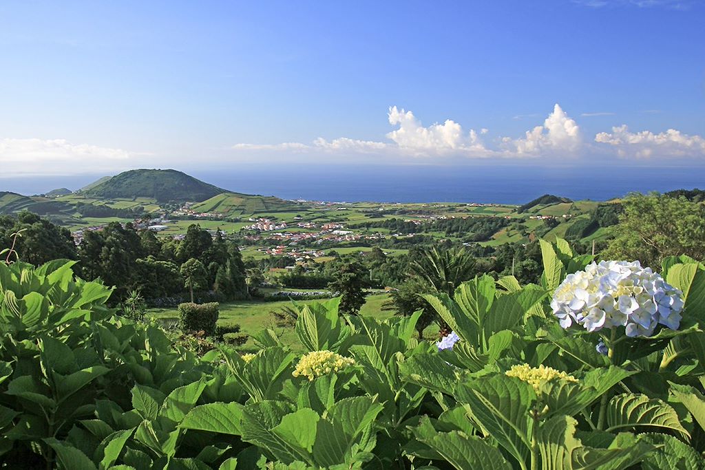 Voyage Açores