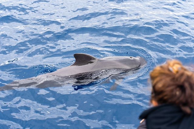 Voyage Evasion à Madère en famille