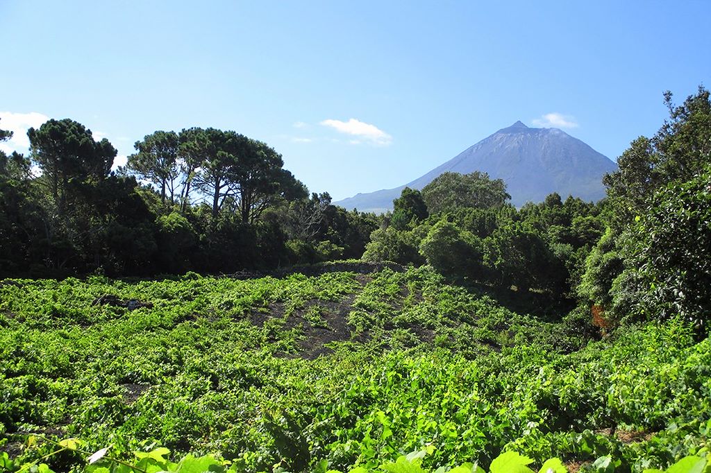 Voyage Açores