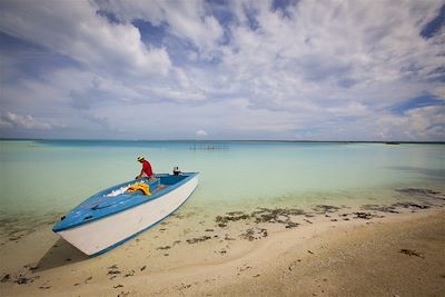Baignade - Snorkeling Polynésie