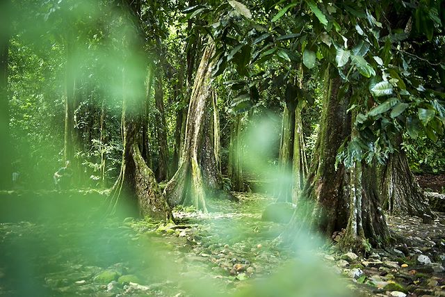 Voyage Treks et motus, aventure authentique