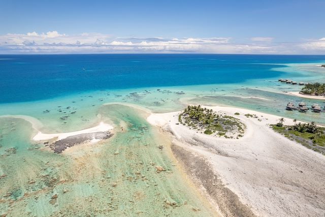 Voyage Treks et motus, aventure authentique