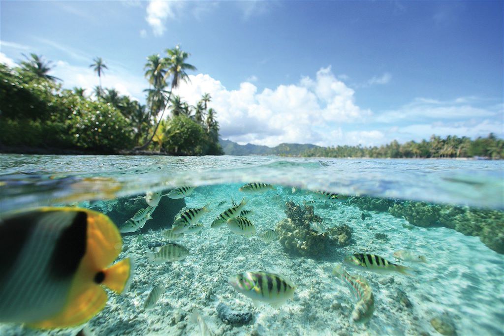Baignade - Snorkeling