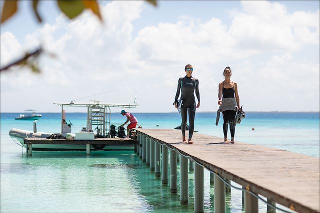 Bord de mer et îles : Palmes et lagons, de Moorea à Bora Bora Voyage Palmes et lagons, de Moorea à Bora Bora