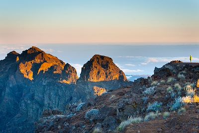 Voyage Réunion