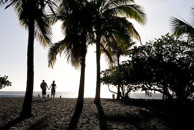 Découverte Réunion