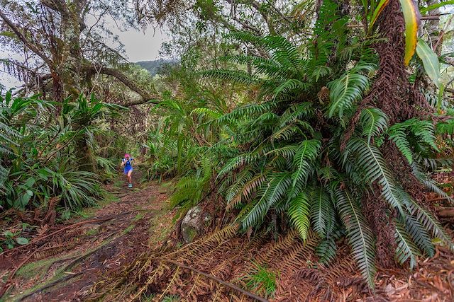 Trek : Objectif Diagonale des Fous Voyage Objectif Diagonale des Fous