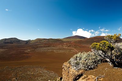 Réunion : Voyages en famille