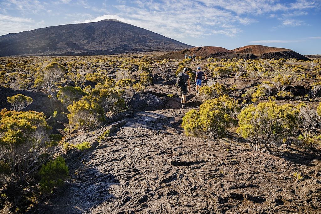 Réunion : Circuits accompagnés