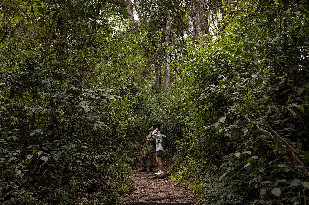 Kayak et canoë Rwanda