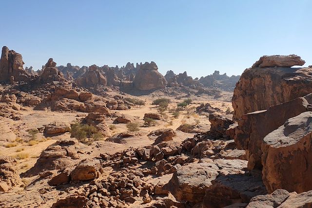 Patrimoine et Nature : Du désert du Nefoud au site nabatéen d'Al Ula Voyage Du désert du Nefoud au site nabatéen d'Al Ula