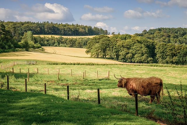 Voyage Le Great Glen Way