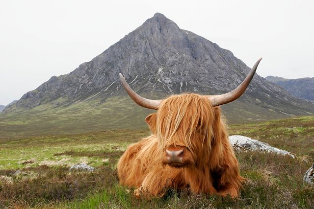 Voyage Le West Highland Way