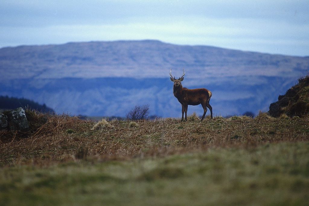 Randonnée Ecosse