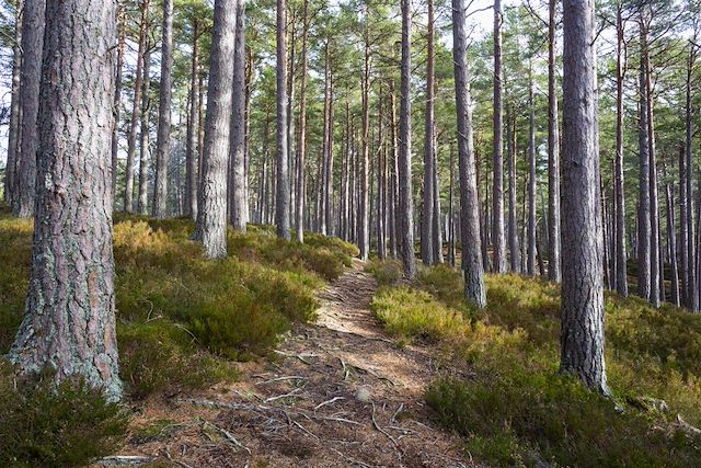 Voyage Le nord de l'Écosse à vélo, littoral et patrimoine