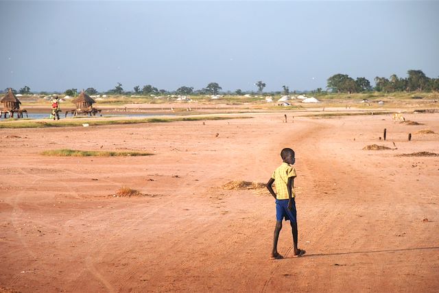 Voyage : Terres marines du Sénégal Voyage Terres marines du Sénégal