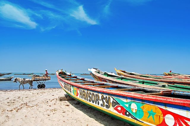 Voyage Terres marines du Sénégal