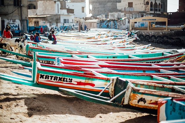 Voyage Vie sauvage dans le delta du Siné Saloum