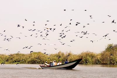 Voyage Sénégal