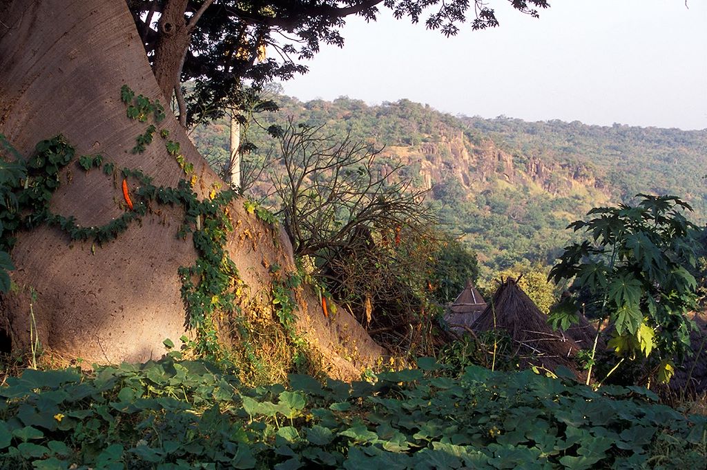 Voyage Sénégal