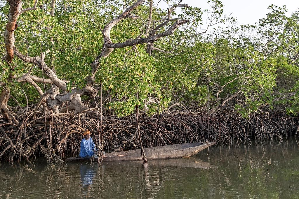 Voyage Sénégal