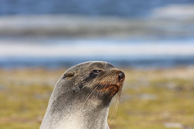 Navigation : L'épopée atlantique du sud au nord Voyage L'épopée atlantique du sud au nord
