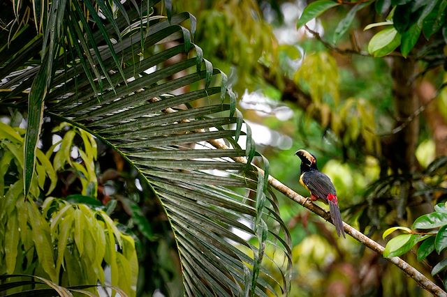 Voyage Balade salvadorienne