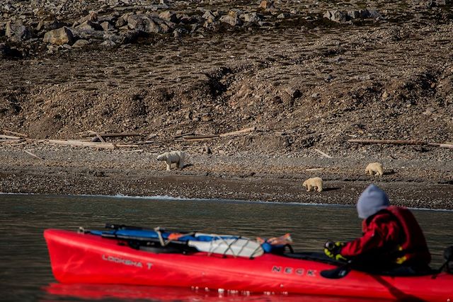 Kayak et canoë : En kayak sur les rives de l'océan glacial arctique Voyage En kayak sur les rives de l'océan glacial arctique