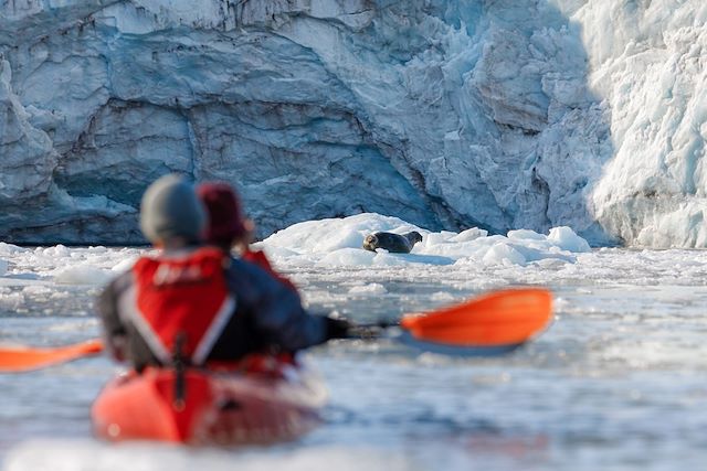 Voyage : Les glaciers de l'Isfjord Voyage Les glaciers de l'Isfjord