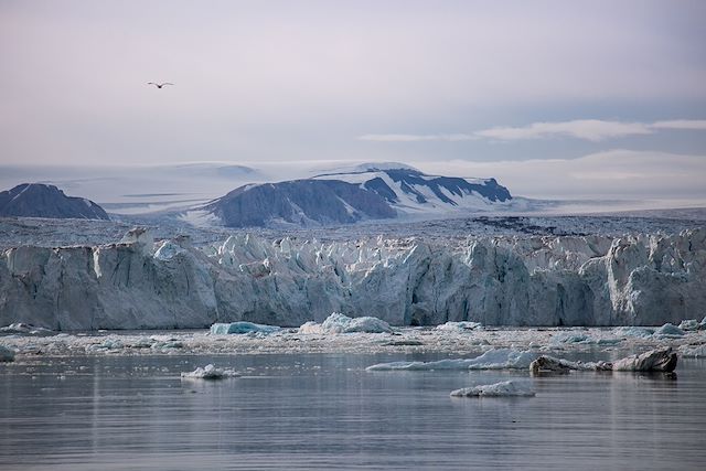 Voyage Navigation et randonnées dans le sud du Spitzberg