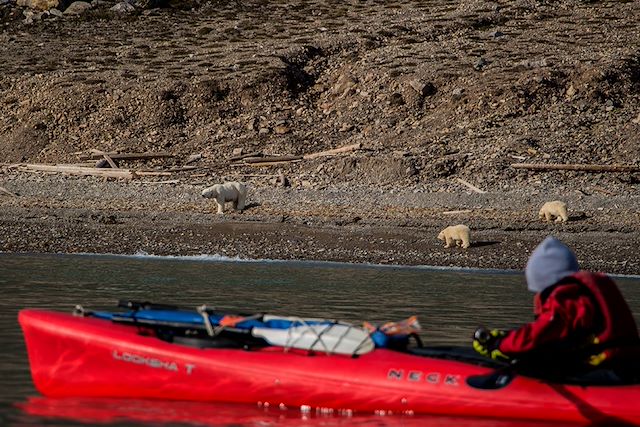 Kayak et canoë : Kayak en baie du Roi Voyage Kayak en baie du Roi