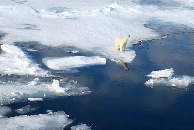 Voyage Tour du Svalbard et 82ème nord