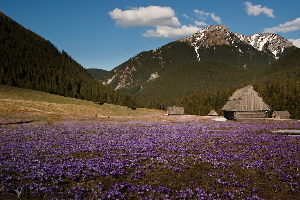 Voyage Du Paradis slovaque aux Hautes Tatras