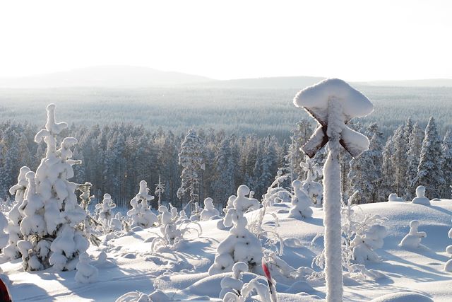 Laponie : Au pays des carcajous Voyage Au pays des carcajous