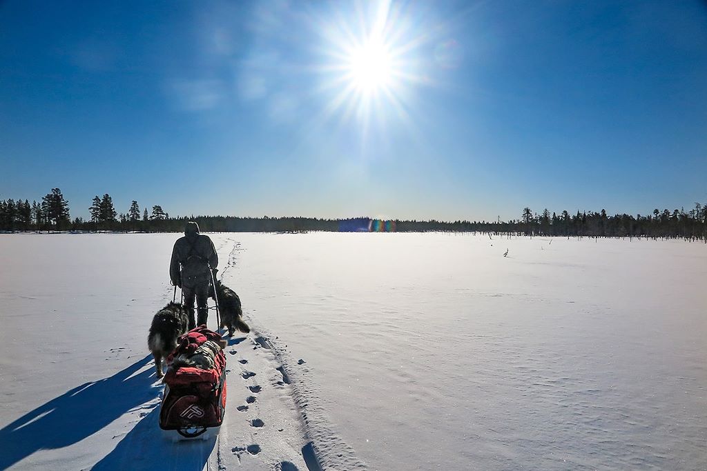 Voyage Raid en ski Altaï et chien de traineau