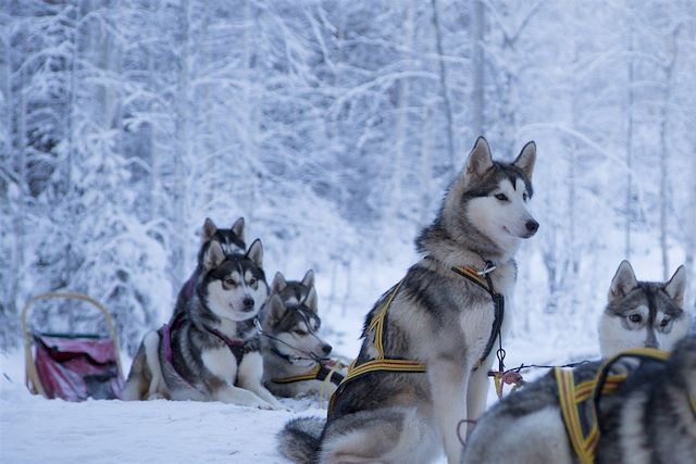 Laponie : Bienvenue au pays du Meänkieli Voyage Bienvenue au pays du Meänkieli