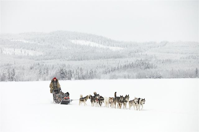 Voyage : Traîneau à chiens au pays des Sami Voyage Traîneau à chiens au pays des Sami