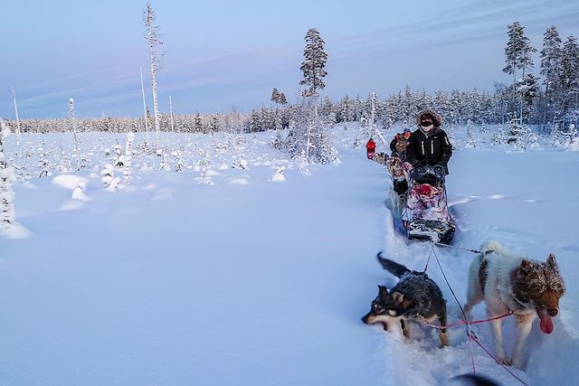 Voyage : Traîneau à chiens au pays des Sami Voyage Traîneau à chiens au pays des Sami