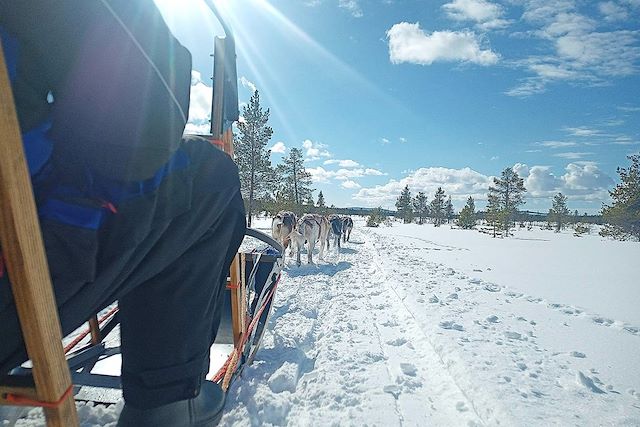 Voyage Rencontre avec le roi de la Laponie