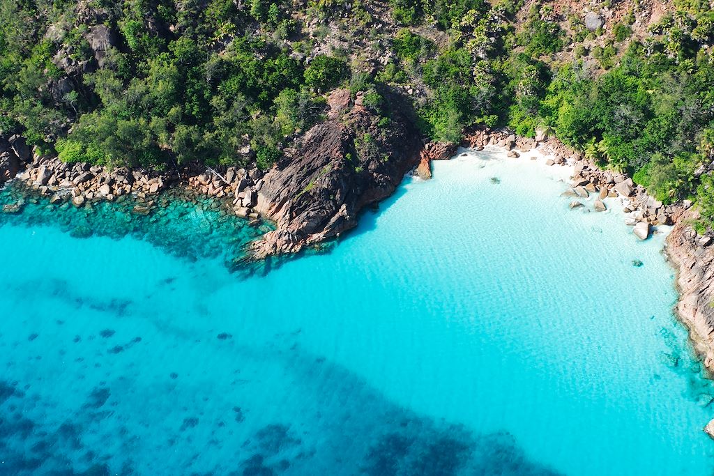 Baignade - Snorkeling Seychelles
