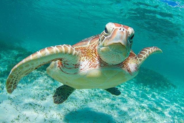 Voyage Randonnées sous les cocotiers aux Seychelles